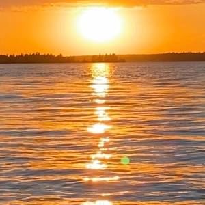 Meet your Posher, Vaughn